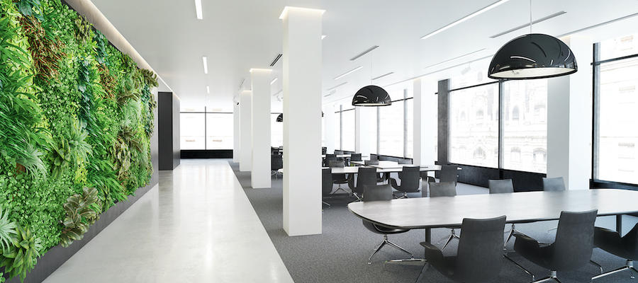 5+1 zöld iroda takarítási tipp