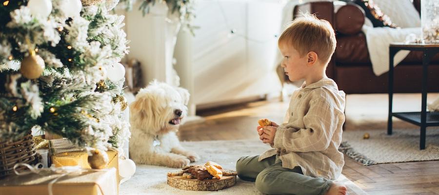 Hogyan lehet környezetbarát a karácsony?